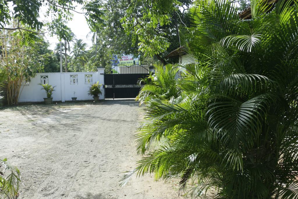 Takeshi Inn Dambulla Exterior foto