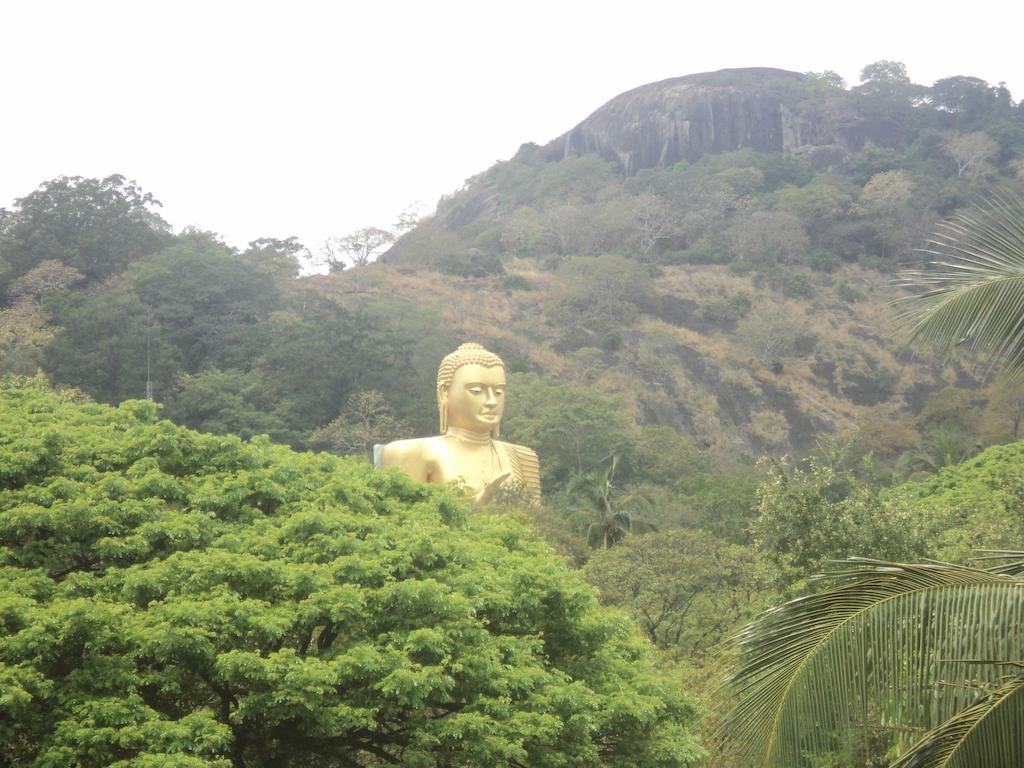 Takeshi Inn Dambulla Exterior foto