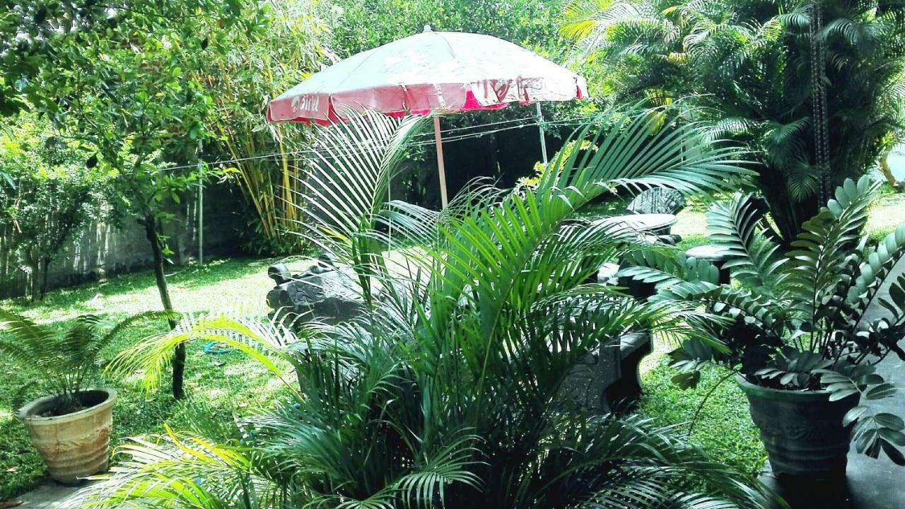 Takeshi Inn Dambulla Exterior foto